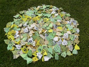 Image showing a pile of reuseable ear tags