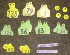 Image of a selection of opened/reusable ear tags