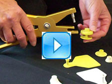 Video demonstration of tagsaver tool